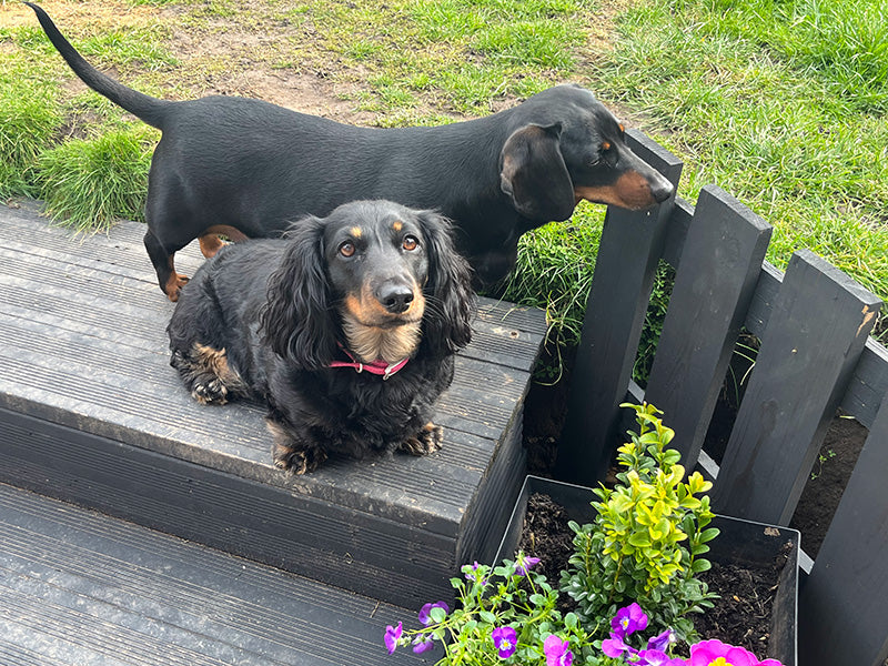 Frank and Doris
