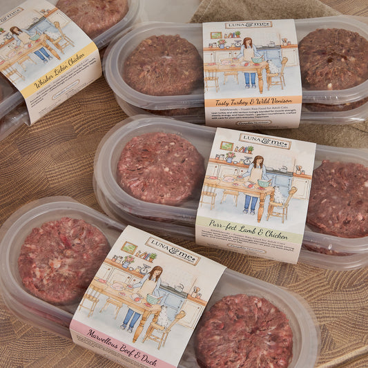 Discovery Box, Patties