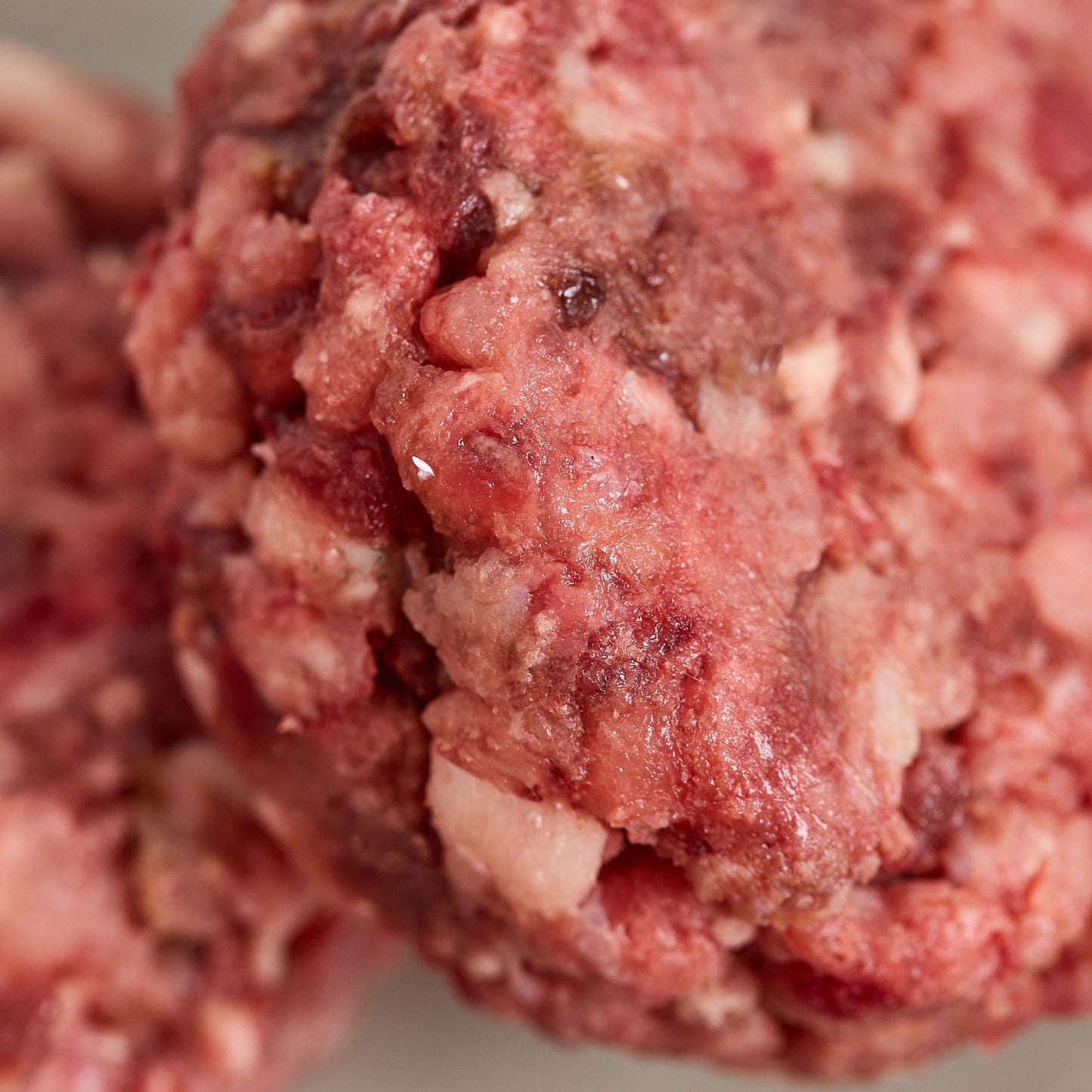 Kitten Power with Lamb Patties