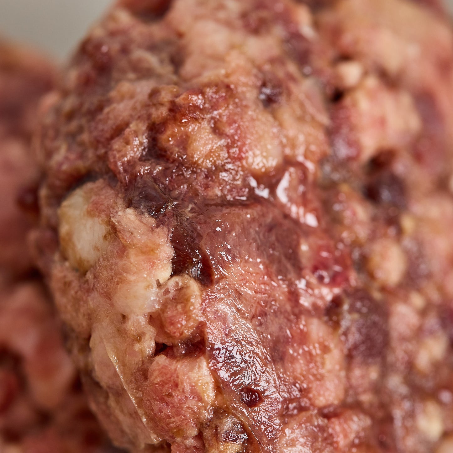 Kitten Power with Beef Patties