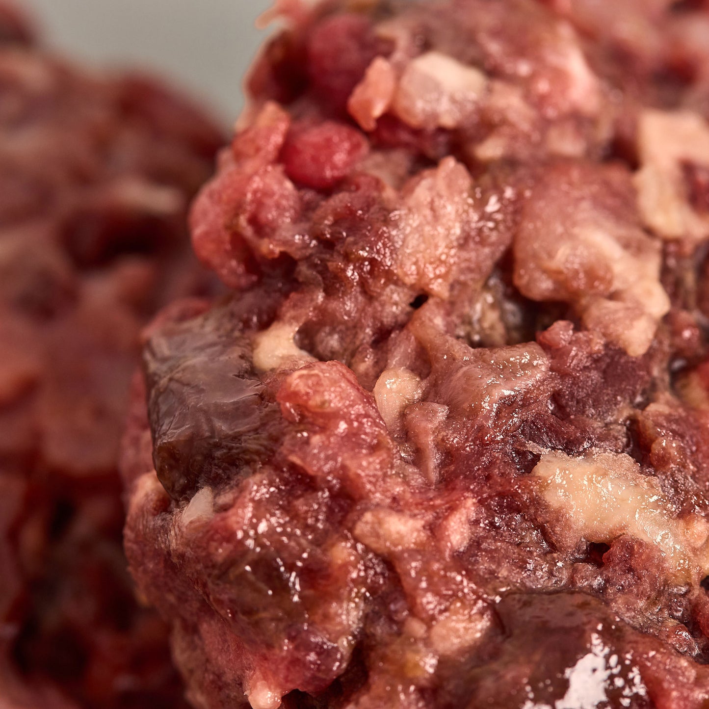 Seniors' Cat Club with Chicken Patties