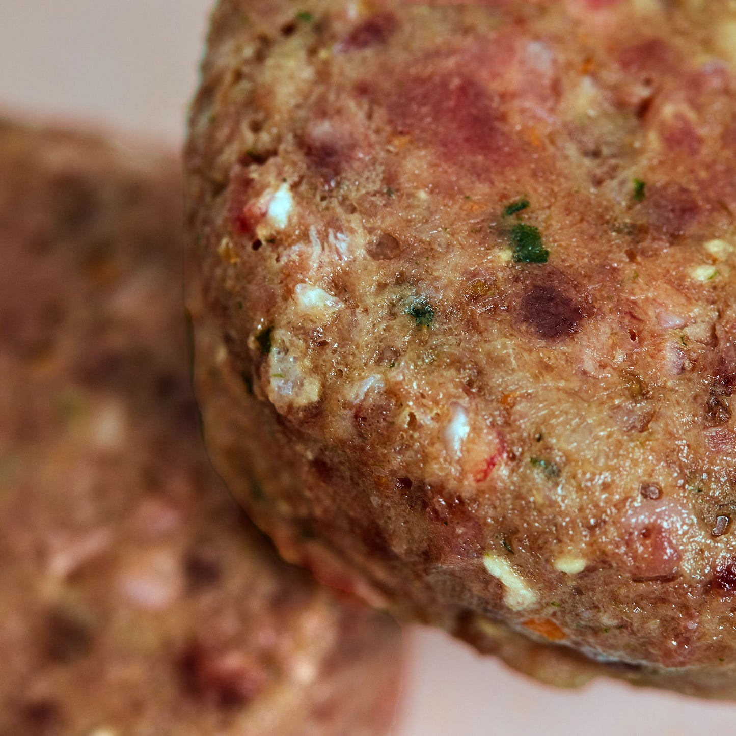 Seniors' Dog Club with Venison Patties