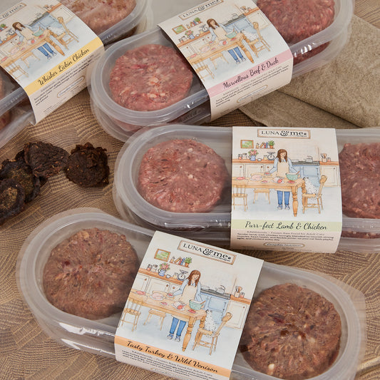 Welcome Cat Box, Patties