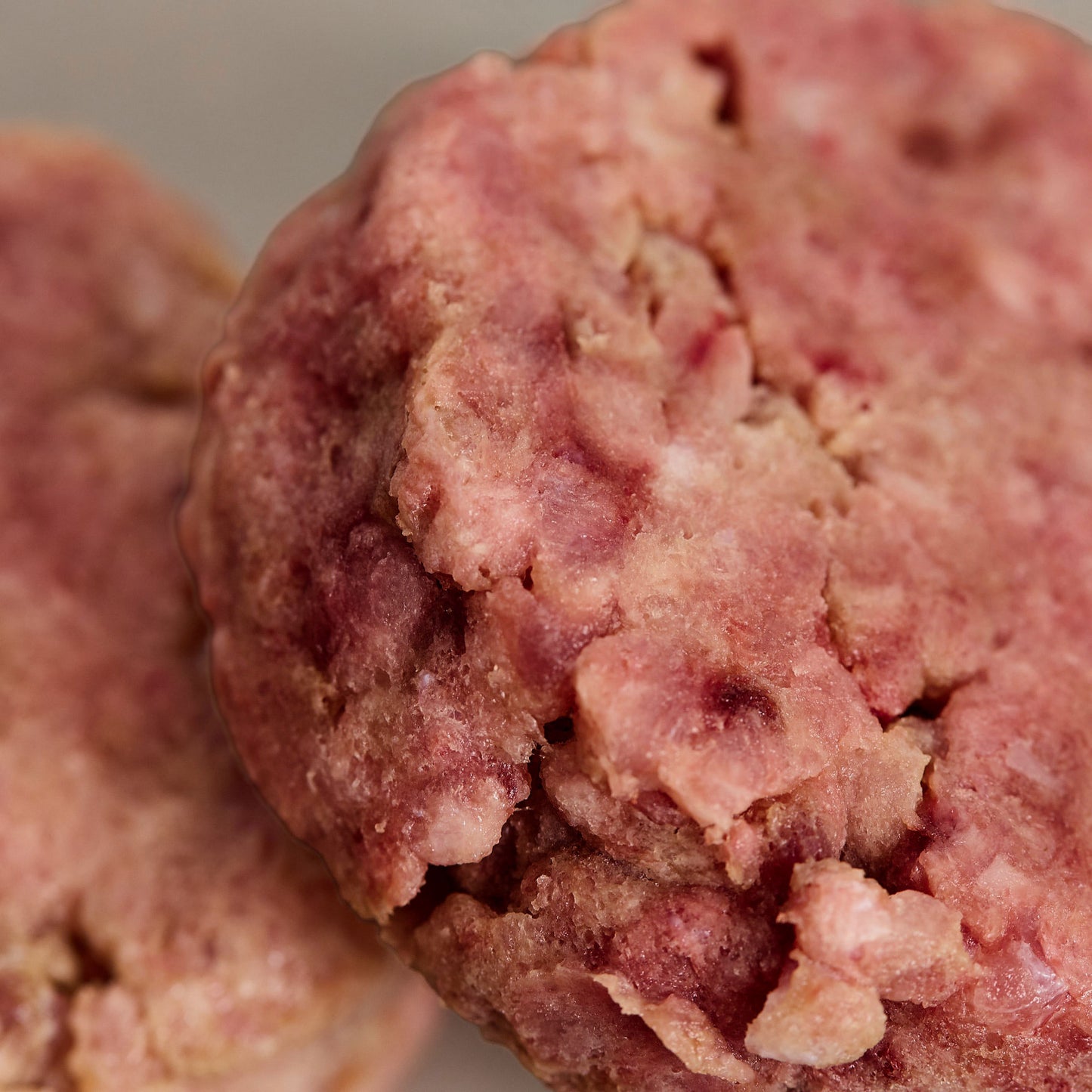 Seniors' Cat Club with Beef Patties