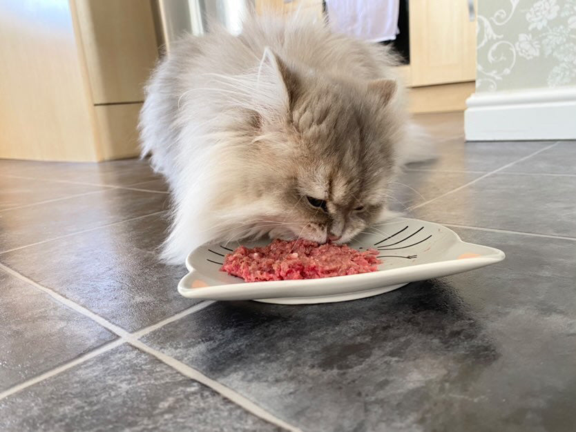 Maggie, Posy, Willow, Cooper