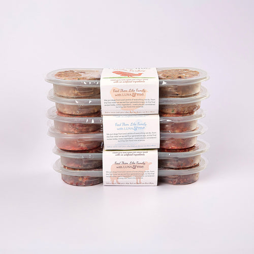Three stacked plastic containers filled with LUNA & me Indulgence Box raw dog food patties