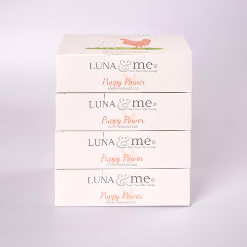 Four stacked boxes filled with LUNA & me Puppy Power raw dog food mince 