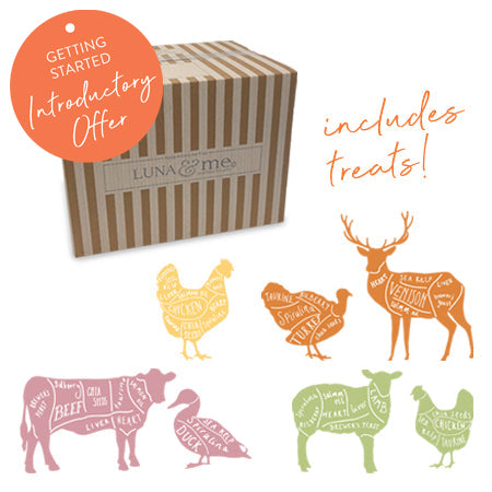 Feline Starter Box, Patties