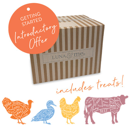 Adult Starter Box, Patties