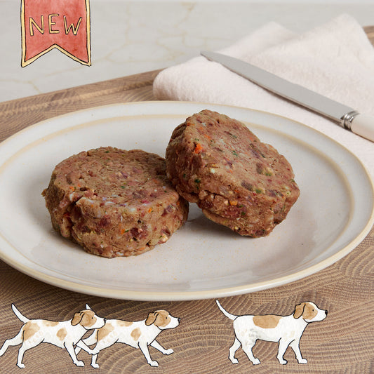 Puppy Power with Beef Patties