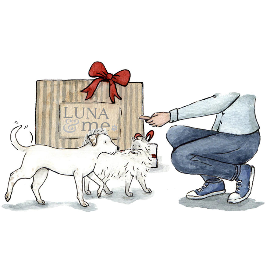 Illustration of a dog and a cat being given a treat by an owner, next to a LUNA & me gift box.
